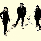 The Limiñanas - List pictures