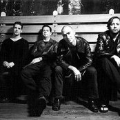 Live - List pictures