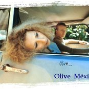 Olive - List pictures