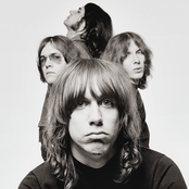 Stooges - List pictures