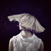 Aurora - List pictures