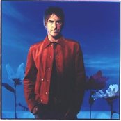 Paul Weller - List pictures