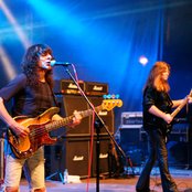 Budgie - List pictures