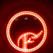 Finch - List pictures