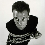 Fatima Mansions - List pictures