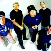 Limp Bizkit - List pictures