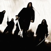 Aardvarks - List pictures