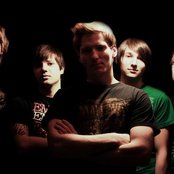 Laurel - List pictures