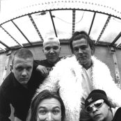 Die Schroeders - List pictures