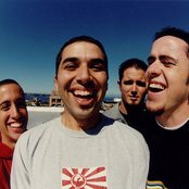 Dogwood - List pictures