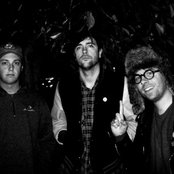 Terry Malts - List pictures