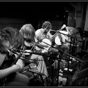 Trampled By Turtles - List pictures