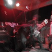 A Giant Dog - List pictures