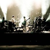 White Rabbits - List pictures