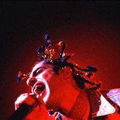 Perry Farrell - List pictures