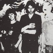 Soft Boys - List pictures