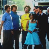 Orgone - List pictures