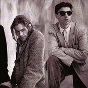 Hothouse Flowers - List pictures