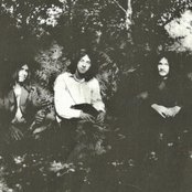 Forest - List pictures