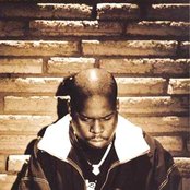 King T - List pictures