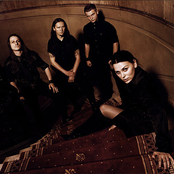 Darzamat - List pictures