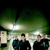 Zornik - List pictures