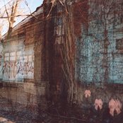 Tobacco - List pictures