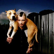 Nesli - List pictures