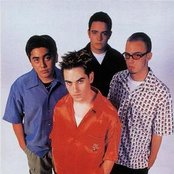 Serial Joe - List pictures