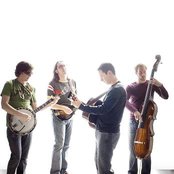 Yonder Mountain String Band - List pictures