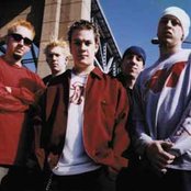 Lifer - List pictures