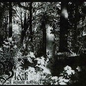 Bleak - List pictures