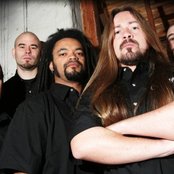 Carnal Forge - List pictures