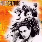 Moist - List pictures