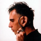 Arnaldo Antunes - List pictures