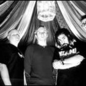 Darwin's Waiting Room - List pictures