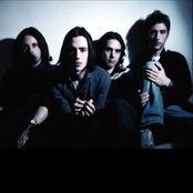 The Veils - List pictures