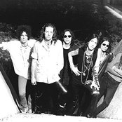 Black Crowes - List pictures