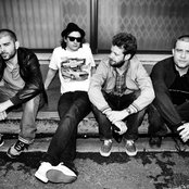 Birdy Nam Nam - List pictures