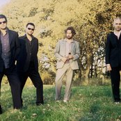 Hothouse Flowers - List pictures