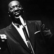 Joe Williams - List pictures