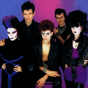 Alaska Y Los Pegamoides - List pictures