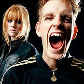 Bumblebeez - List pictures