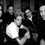 Grim Skunk - List pictures