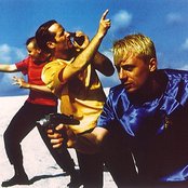 S.p.o.c.k - List pictures