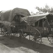 Husky - List pictures