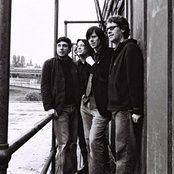 Posies - List pictures