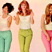 The Shangri-las - List pictures