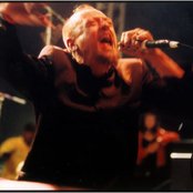 Bad Acid Trip - List pictures