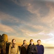 Frog Eyes - List pictures